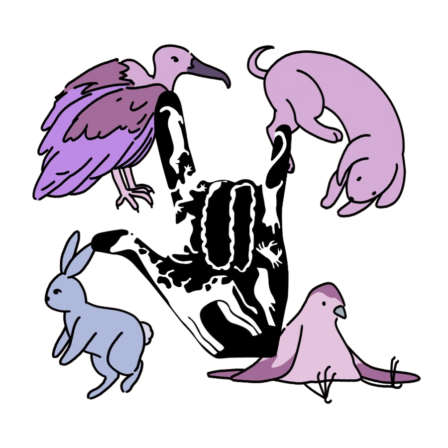 illustration of a vulture, a dog, a rabbit and a bird